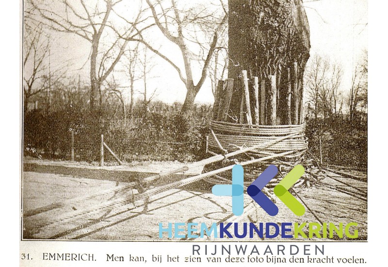 WinterOpDenRijn.25 coll RWS HK Rijnwaarden F000001037